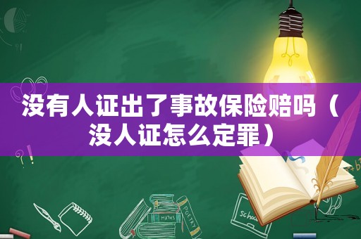 沒(méi)有人證出了事故保險(xiǎn)賠嗎（沒(méi)人證怎么定罪）
