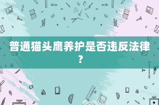 普通貓頭鷹養(yǎng)護(hù)是否違反法律？