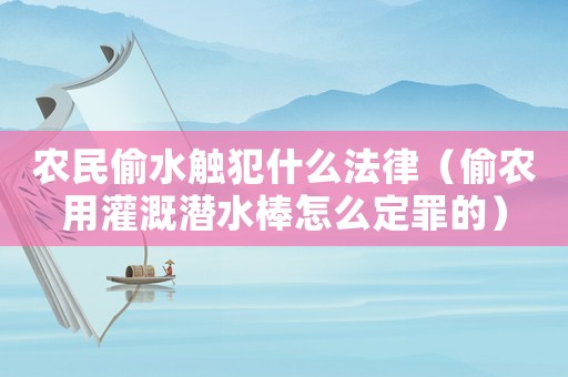 農(nóng)民偷水觸犯什么法律（偷農(nóng)用灌溉潛水棒怎么定罪的）