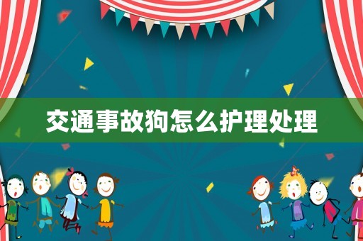 交通事故狗怎么護(hù)理處理