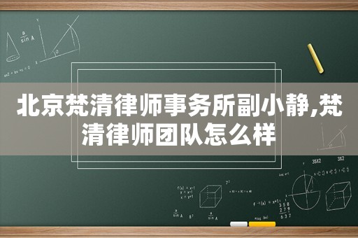 北京梵清律師事務(wù)所副小靜,梵清律師團(tuán)隊(duì)怎么樣