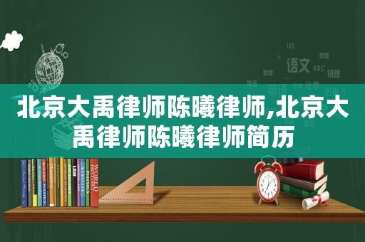 北京大禹律師陳曦律師,北京大禹律師陳曦律師簡歷