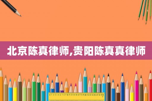 北京陳真律師,貴陽(yáng)陳真真律師