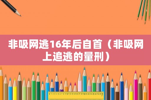 非吸網(wǎng)逃16年后自首（非吸網(wǎng)上追逃的量刑）