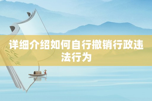 詳細介紹如何自行撤銷行政違法行為