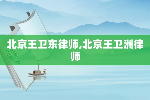 北京王衛(wèi)東律師,北京王衛(wèi)洲律師
