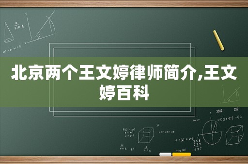 北京兩個王文婷律師簡介,王文婷百科