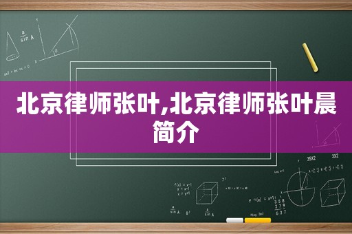 北京律師張葉,北京律師張葉晨簡介