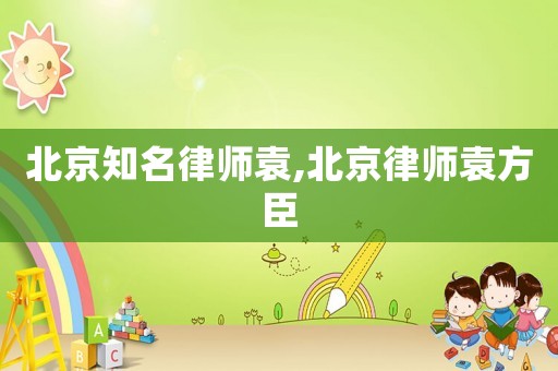 北京知名律師袁,北京律師袁方臣