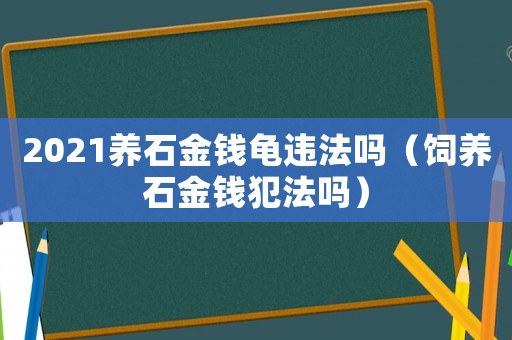 2021養(yǎng)石金錢龜違法嗎（飼養(yǎng)石金錢犯法嗎）