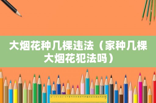 大煙花種幾棵違法（家種幾棵大煙花犯法嗎）