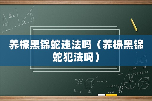 養(yǎng)棕黑錦蛇違法嗎（養(yǎng)棕黑錦蛇犯法嗎）