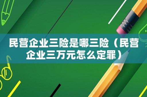 民營企業(yè)三險(xiǎn)是哪三險(xiǎn)（民營企業(yè)三萬元怎么定罪）