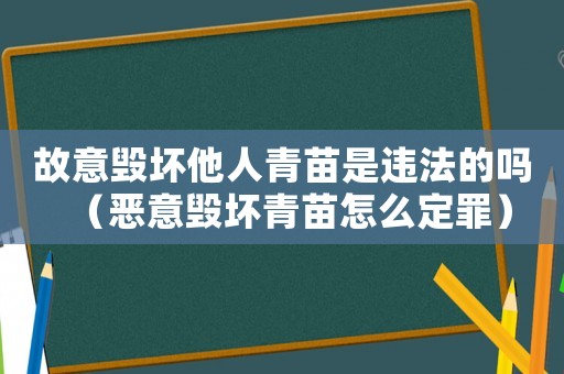 故意毀壞他人青苗是違法的嗎（惡意毀壞青苗怎么定罪）