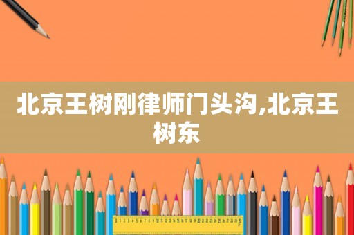 北京王樹剛律師門頭溝,北京王樹東