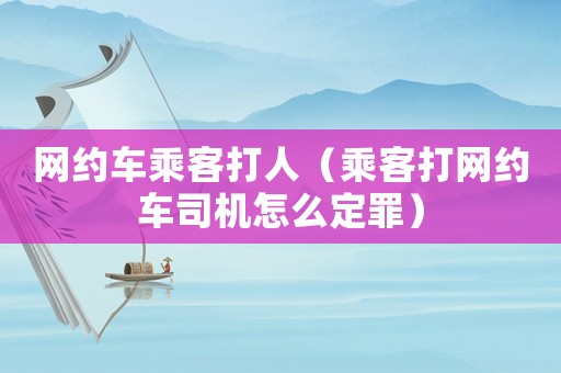 網(wǎng)約車乘客打人（乘客打網(wǎng)約車司機(jī)怎么定罪）