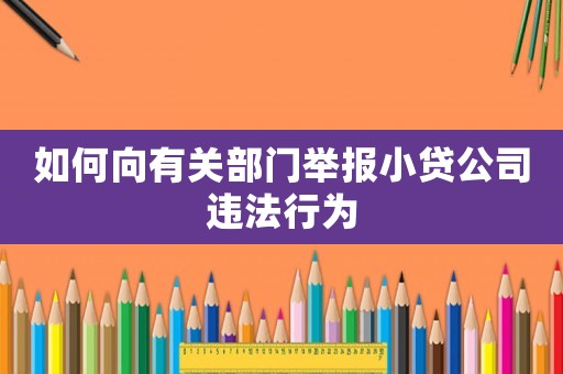 如何向有關(guān)部門舉報(bào)小貸公司違法行為