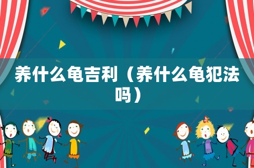 養(yǎng)什么龜吉利（養(yǎng)什么龜犯法嗎）