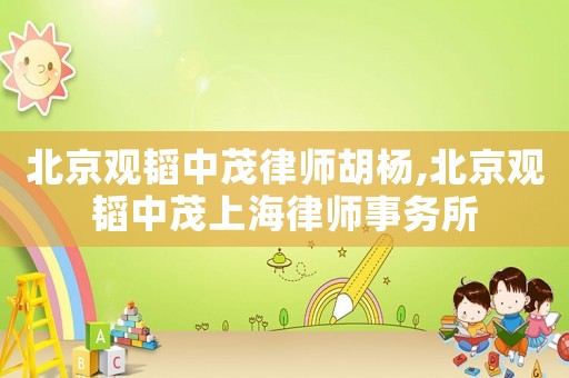 北京觀韜中茂律師胡楊,北京觀韜中茂上海律師事務所