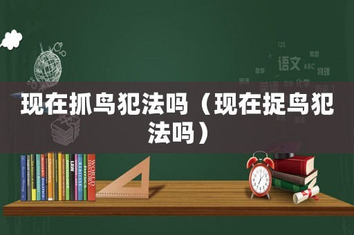 現(xiàn)在抓鳥犯法嗎（現(xiàn)在捉鳥犯法嗎）