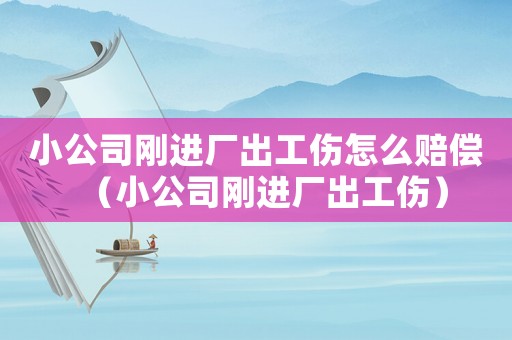 小公司剛進(jìn)廠出工傷怎么賠償（小公司剛進(jìn)廠出工傷）