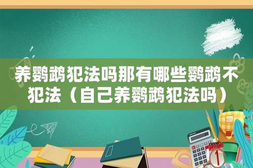 養(yǎng)鸚鵡犯法嗎那有哪些鸚鵡不犯法（自己養(yǎng)鸚鵡犯法嗎）