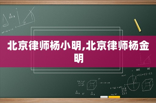 北京律師楊小明,北京律師楊金明