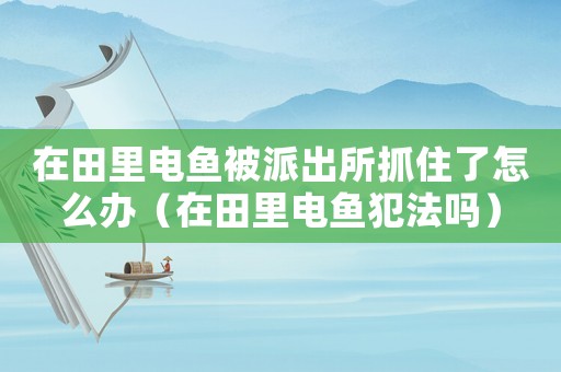在田里電魚(yú)被派出所抓住了怎么辦（在田里電魚(yú)犯法嗎）