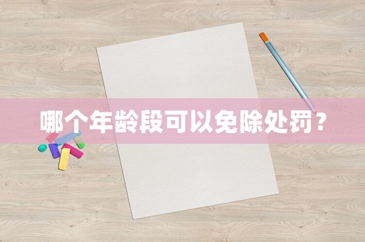 哪個(gè)年齡段可以免除處罰？