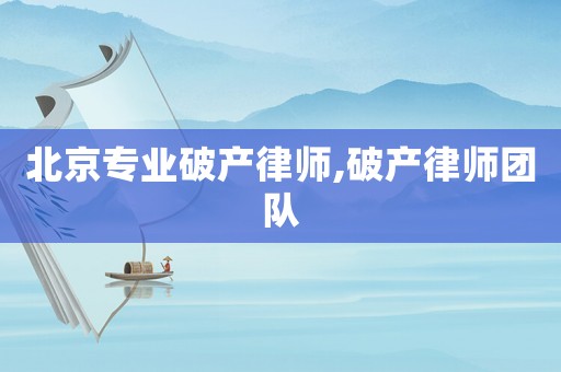 北京專業(yè)破產(chǎn)律師,破產(chǎn)律師團(tuán)隊(duì)