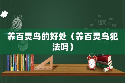 養(yǎng)百靈鳥的好處（養(yǎng)百靈鳥犯法嗎）