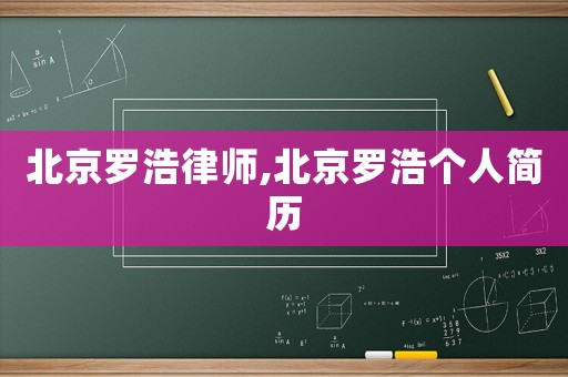 北京羅浩律師,北京羅浩個(gè)人簡(jiǎn)歷