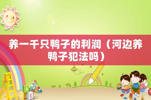 養(yǎng)一千只鴨子的利潤（河邊養(yǎng)鴨子犯法嗎）