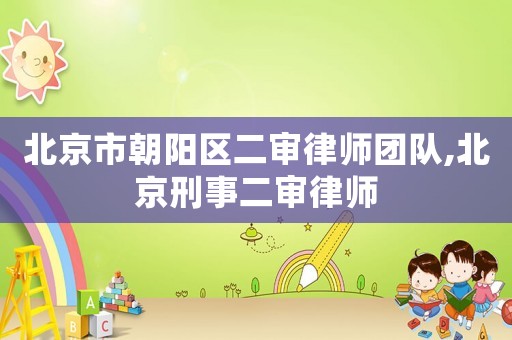 北京市朝陽區(qū)二審律師團(tuán)隊(duì),北京刑事二審律師