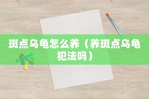 斑點烏龜怎么養(yǎng)（養(yǎng)斑點烏龜犯法嗎）