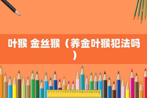 葉猴 金絲猴（養(yǎng)金葉猴犯法嗎）
