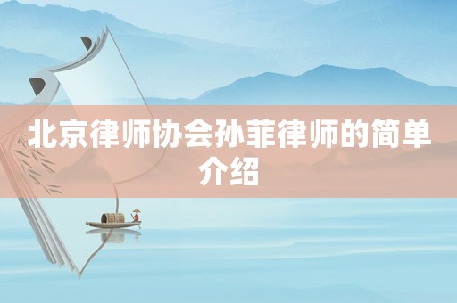 北京律師協(xié)會(huì)孫菲律師的簡(jiǎn)單介紹