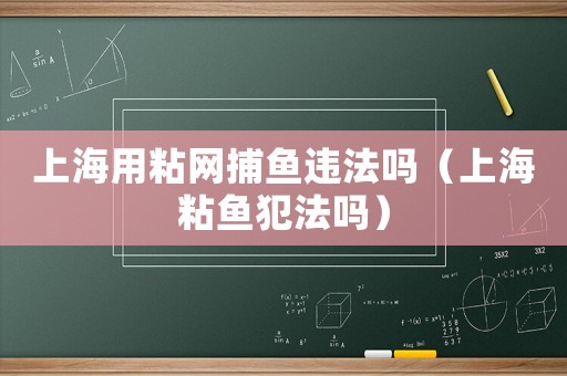 上海用粘網(wǎng)捕魚違法嗎（上海粘魚犯法嗎）