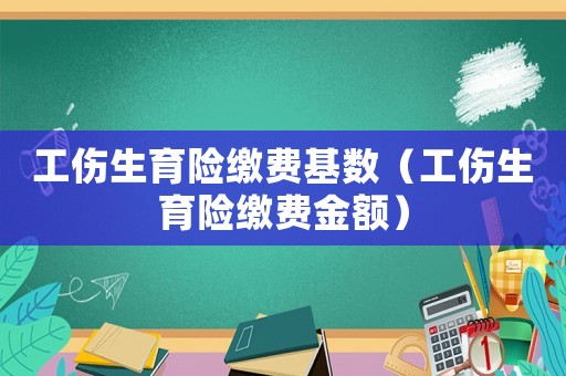 工傷生育險(xiǎn)繳費(fèi)基數(shù)（工傷生育險(xiǎn)繳費(fèi)金額）
