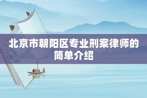 北京市朝陽區(qū)專業(yè)刑案律師的簡(jiǎn)單介紹