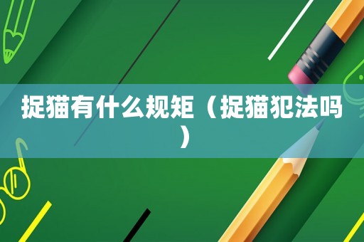 捉貓有什么規(guī)矩（捉貓犯法嗎）