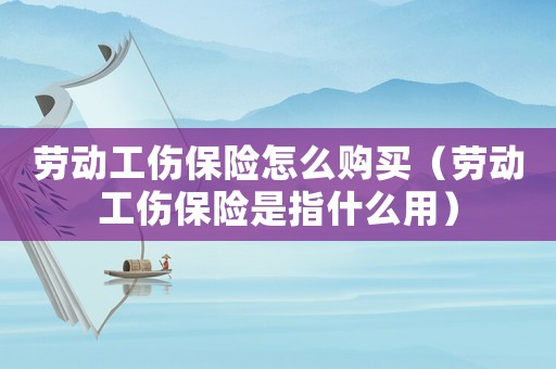 勞動(dòng)工傷保險(xiǎn)怎么購買（勞動(dòng)工傷保險(xiǎn)是指什么用）