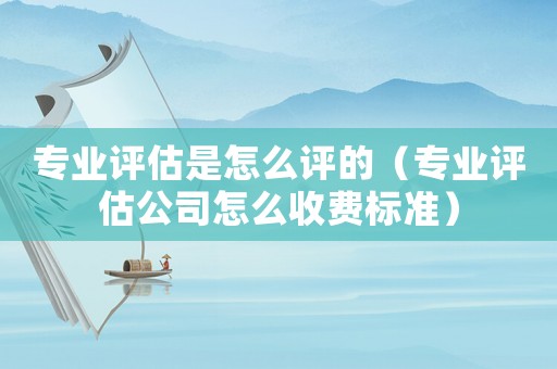專業(yè)評估是怎么評的（專業(yè)評估公司怎么收費標準）