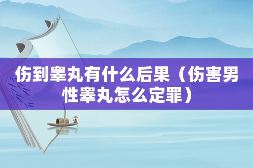 傷到睪丸有什么后果（傷害男性睪丸怎么定罪）