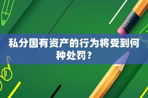 私分國有資產的行為將受到何種處罰？