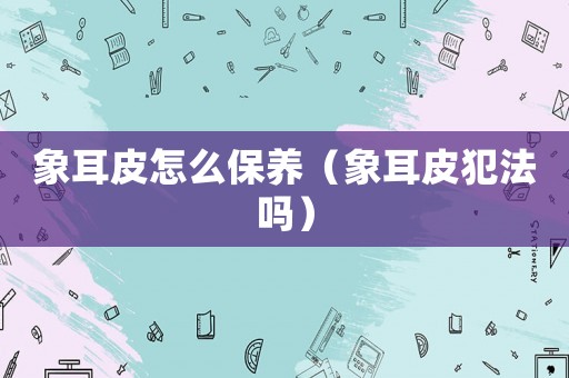 象耳皮怎么保養(yǎng)（象耳皮犯法嗎）