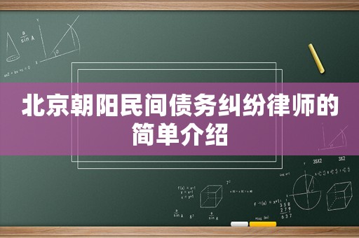 北京朝陽民間債務(wù)糾紛律師的簡單介紹