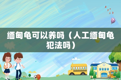 緬甸龜可以養(yǎng)嗎（人工緬甸龜犯法嗎）