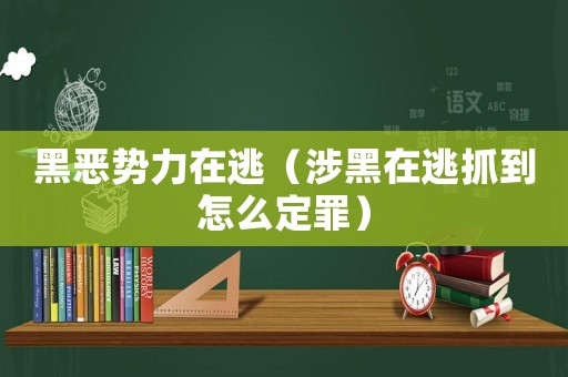 黑惡勢(shì)力在逃（涉黑在逃抓到怎么定罪）