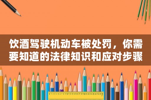 飲酒駕駛機(jī)動(dòng)車被處罰，你需要知道的法律知識(shí)和應(yīng)對(duì)步驟